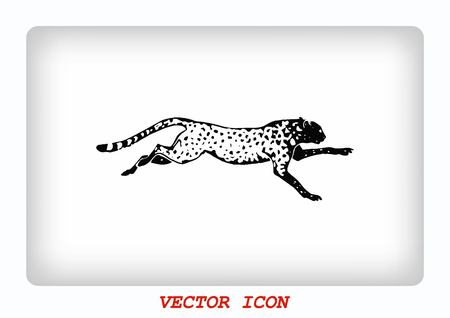Vector illustration of an evil, wild, aggressive leopard. Prey, cheetah dangerous. Offensive cougar. Panther.のイラスト素材