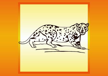 Vector illustration of an evil, wild, aggressive leopard. Prey, cheetah dangerous. Offensive cougar. Panther.のイラスト素材