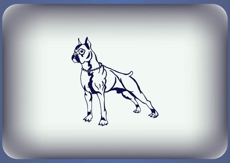 Vector illustration of a dog. Aggressive purebred dog.のイラスト素材