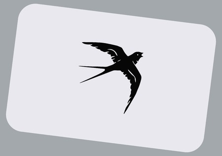 Bird icon. swallow swift vector illustration.のイラスト素材