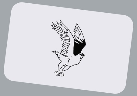 Vector illustration.  Angry Eagle.のイラスト素材