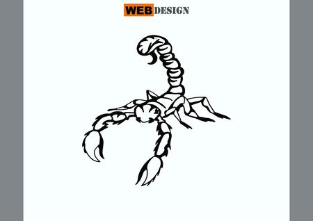 Vector illustration of an evil, savage, aggressive scorpion. Predatory, dangerous beast. Angry poisonous spider.のイラスト素材