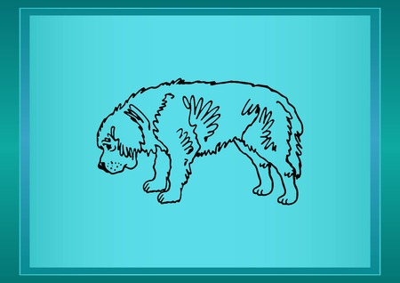 Vector illustration of a dog. Aggressive purebred dog.のイラスト素材