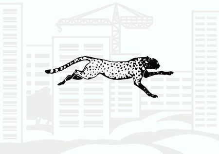 Vector illustration of an evil, wild, aggressive leopard. Prey, cheetah dangerous. Offensive cougar. Panther.のイラスト素材
