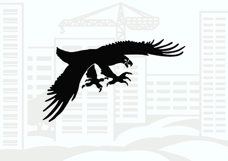 Vector illustration.  Angry Eagle.のイラスト素材