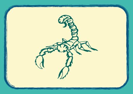 Vector illustration of an evil, savage, aggressive scorpion. Predatory, dangerous beast. Angry poisonous spider.のイラスト素材