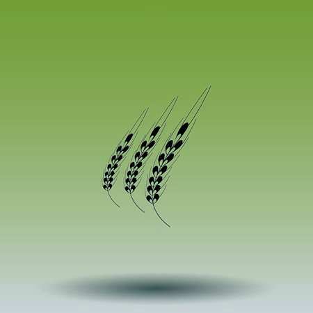Wheat  iconのイラスト素材