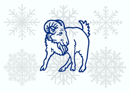 Vector illustration of a goat. Mountain argali.のイラスト素材