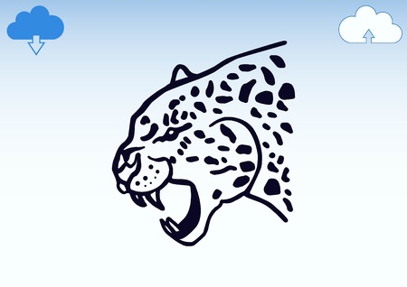Vector illustration of an evil, wild, aggressive leopard. Prey, cheetah dangerous. Offensive cougar. Panther.のイラスト素材