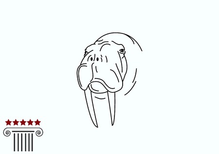 Walrus, seal icon. Vector illustration.のイラスト素材