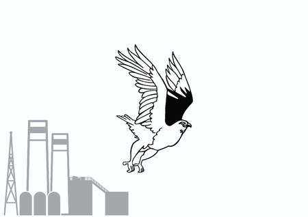 Vector illustration.  Angry Eagle.のイラスト素材