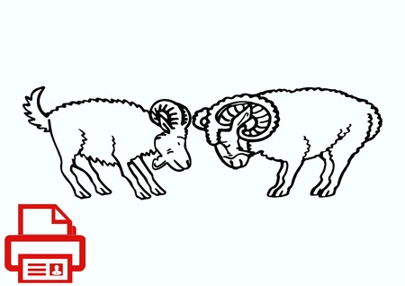 Vector illustration of a goat. Mountain argali.のイラスト素材