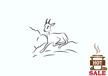 Vector illustration of a goat. Mountain argali.のイラスト素材