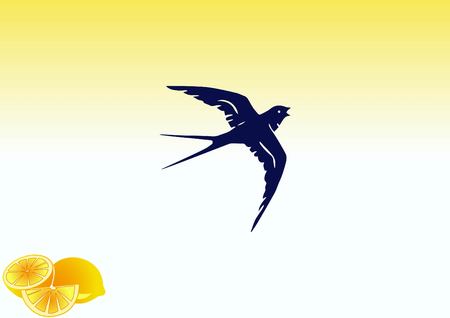Bird icon. swallow swift vector illustration.のイラスト素材