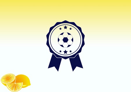 Football isolated on a white iconのイラスト素材