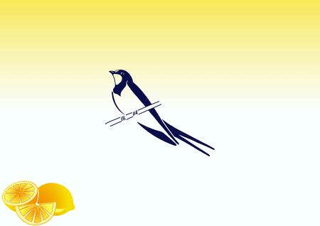 Bird icon. swallow swift vector illustration.のイラスト素材