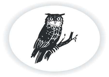 Bird icon. Owl vector illustration.のイラスト素材