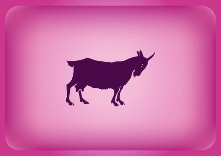 Vector illustration of a goat. Mountain argali.のイラスト素材