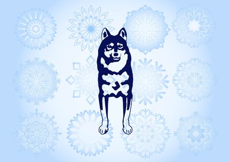 Vector illustration of a dog. Aggressive purebred dog.のイラスト素材