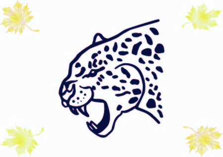 Vector illustration of an evil, wild, aggressive leopard. Prey, cheetah dangerous. Offensive cougar. Panther.のイラスト素材