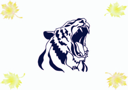 Vector illustration of an evil, savage, aggressive tiger. Predatory, dangerous beast.のイラスト素材