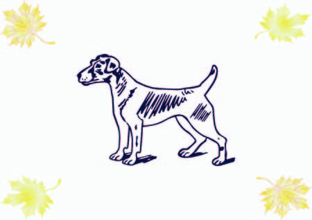 Vector illustration of a dog. Aggressive purebred dog.のイラスト素材