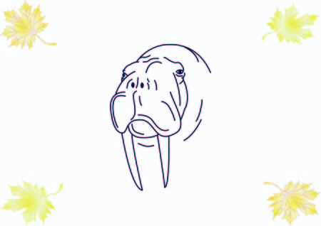 Walrus, seal icon. Vector illustration.のイラスト素材