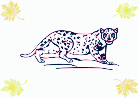 Vector illustration of an evil, wild, aggressive leopard. Prey, cheetah dangerous. Offensive cougar. Panther.のイラスト素材