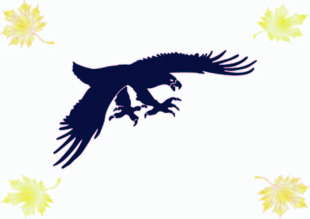 Vector illustration.  Angry Eagle.のイラスト素材