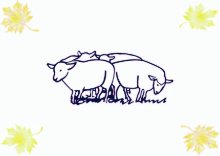 Vector illustration of a sheep. Flock of sheep. sheep logo.のイラスト素材