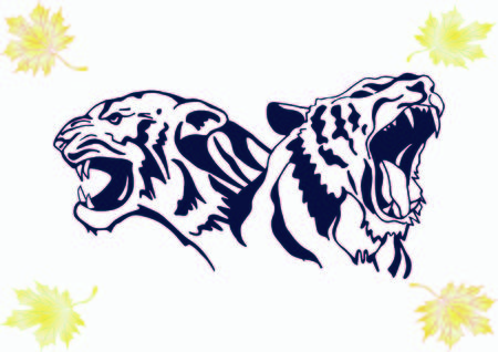 Vector illustration of an evil, savage, aggressive tiger. Predatory, dangerous beast. Angry Tiger.のイラスト素材
