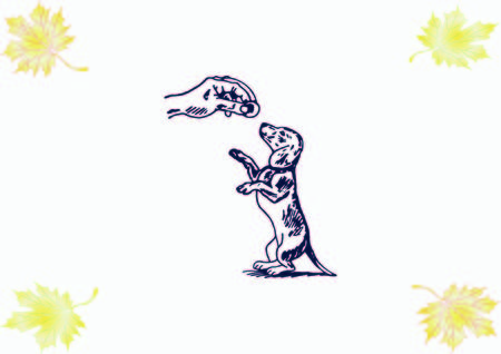 Vector illustration of a dog. Aggressive purebred dog.のイラスト素材