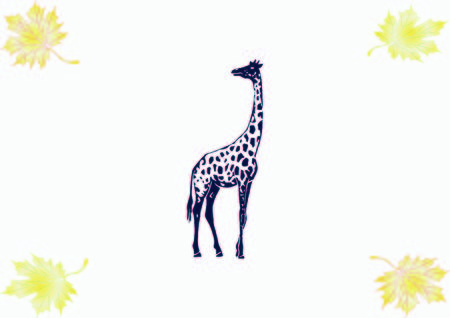 Giraffe icon, Vector illustration.のイラスト素材