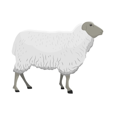 Vector illustration of a sheepのイラスト素材