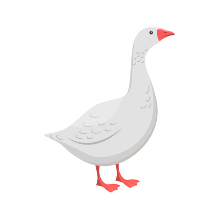 Vector illustration of a gooseのイラスト素材