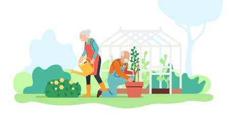 Senior family hobby. Elderly people engaged gardening. Grandparents plant and water flowers in yard. Couple take care of blossoms. Persons work in garden and greenhouse. Vector conceptのイラスト素材