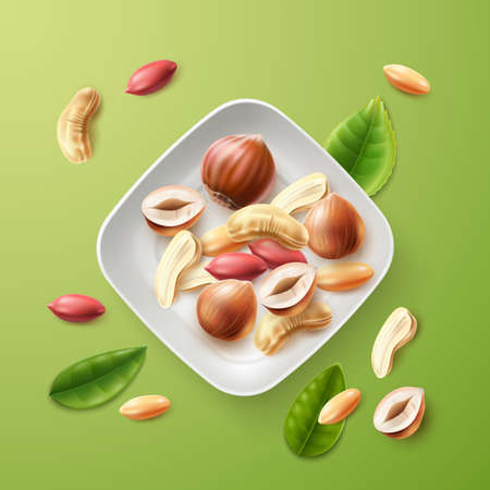 Realistic nuts bowl. Top view plate with natural snacks. Peeled nut kernels mix. Peanuts and cashews. Healthy appetizer. Vegetarian organic food. Raw hazelnuts and leaves. Vector conceptのイラスト素材