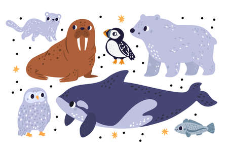 Cute arctic and polar animals. Antarctica inhabitants. Northern mammals, birds and fish. Killer whale. Isolated puffin or fox. Adorable walrus. White bear and owl. Vector north fauna setのイラスト素材