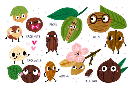 Cute nuts characters. Funny dry food with faces, hands and feet. Hazelnuts and pecans. Almond flowers. Coconut and walnuts with leaves. Comic meal products. Vector superfood mascots setのイラスト素材
