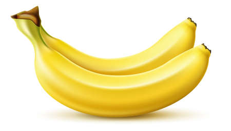 Realistic yellow banana. Tropical fruit bunch. Fresh food. Diet dessert snack. Healthy natural product. Vegetarian meal ingredient. Vitamin nutrition. Vector delicious vegan appetizerのイラスト素材