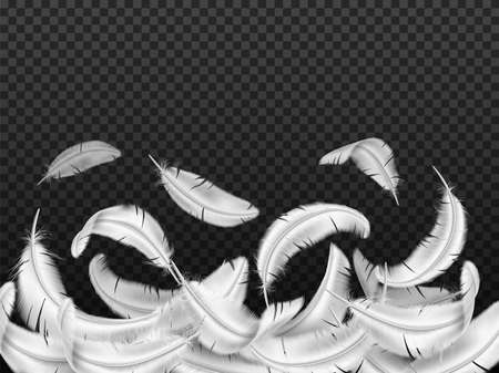 White feathers background. Realistic flying fluffy plumage. 3D falling down avian quills. Light isolated objects. Birdy or angel wings. Dove or swan feathering border. Vector conceptのイラスト素材