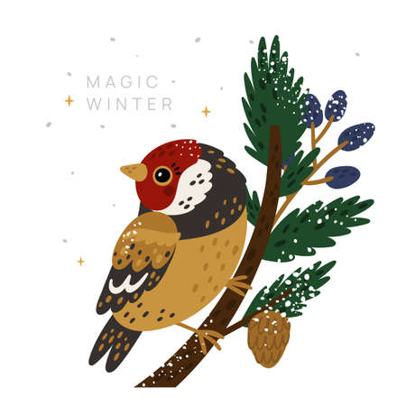 Magic winter card with goldfinch sitting on tree branchのイラスト素材