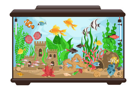 Aquarium with fish. Cartoon fishbowl. Underwater decorative goldfish habitat. Multicolor creations different breeds. Marine animal and aquatic castle. Splendid vector glass containerのイラスト素材