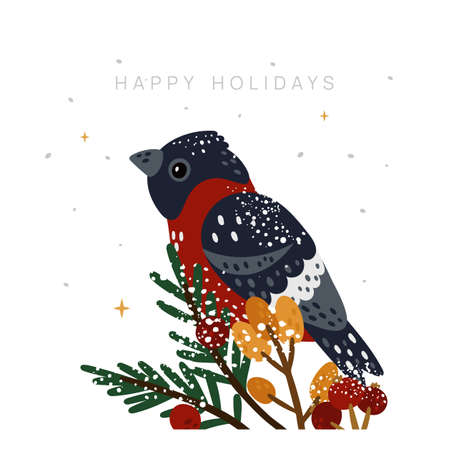 Happy holidays card with cute bullfinch and winter plantsのイラスト素材