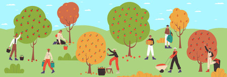 Group harvesting process. Cartoon farmers picking fruits from garden trees. Men and women collecting apple harvest in orchard. Agricultural workers. Natural food cultivation. Vector conceptのイラスト素材