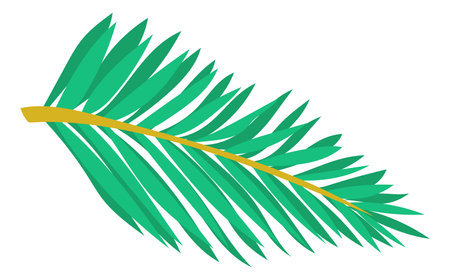 Fir spruce icon. Green conifer tree branch. Evergreen pine symbolのイラスト素材