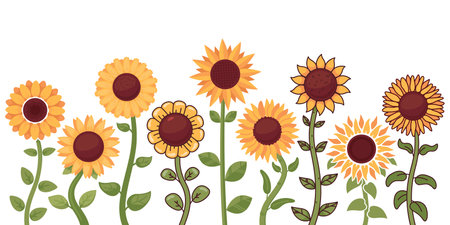 Beautiful sunflowers. Different stems and leaves. Cartoon summer plants. Oilseed culture. Natural blossom buds. Yellow floral elements. Decorative garden flowers frame. Recent vector setのイラスト素材