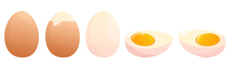 Boiled eggs. Peeled and in shell. Diet food. Prepared product. Cooked yolk cutting. Whole and half isolated eggshells. Natural protein. Healthy meal. Vector chicken ingredients setのイラスト素材