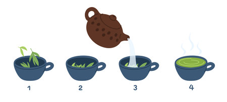 Steps green tea brewing from pouring hot drink into cups and boiling water from kettle. Chinese ceremony. Traditional beverage preparation stages process. Vector cooking instructionのイラスト素材