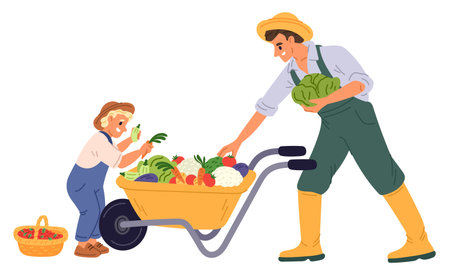 Farmer and his young son harvest vegetables and fruits while working in garden. Wheelbarrow full of cabbages and tomatoes. Agricultural worker. Organic farming crop. Vector conceptのイラスト素材